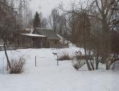 Подозрительные косули попали в объектив камеры в Струго-Красненском районе