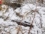 Артснаряды нашли в двух районах Псковской области