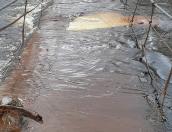 Валентина Понизовская — о подтоплении в Красногородске: Ситуация под контролем 