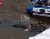 Тело мужчины обнаружили в реке Ловать в Великолукском районе
