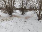 Возбуждено уголовное дело по факту незаконной охоты на косуль в Палкинском районе