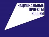 В администрации Пскова рассказали о национальных проектах России
