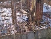 ВИДЕО В Великих Луках неизвестные воруют металл на заброшенном заводе