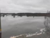 Река Шелонь подтопила ЛЭП в Дедовичском районе