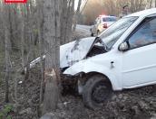 В Плюсском районе автомобиль «Шевроле» врезался в дерево