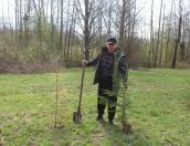 Сотрудники Гавровского участкового лесничества приняли участие в акции «Сад памяти»