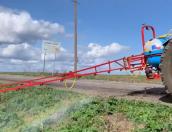 «Псковавтодор» приступил к обработке территорий от борщевика в Псковской области