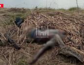 Тело пожилого мужчины обнаружено на берегу реки Синей