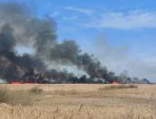 Сухая трава загорелась у торфяного завода в Великих Луках