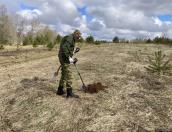 «Вахта Памяти» начнётся в Себежском районе 25 апреля