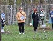 В Петербурге посадили дерево в память о военкоре Владлене Татарском