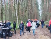 Около 700 человек приняли участие в субботнике в Корытовском лесу