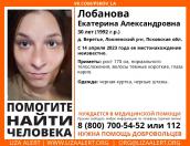 Пропавшую 30-летнюю женщину разыскивают в Псковской области