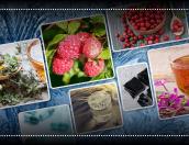 Чайный гриб, облепиха, орехи: псковичам назвали продукты для улучшения иммунитета