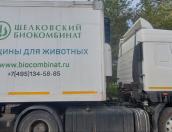 200 тысяч доз вакцины против бешенства разложат в лесах Псковской области