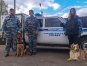 Опочецкие полицейские спасли заблудившегося в лесу пенсионера