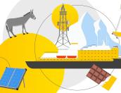 Одноразовая одежда и заключение психиатра: необычные вещи для развития мобильной связи билайн