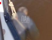 Тело пенсионера обнаружили в Псковском озере