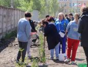 Более 300 деревьев высадили студенты и преподаватели ПсковГУ в рамках акции «Сад памяти»