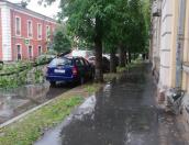 Дерево упало на автомобиль в Пскове