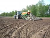 Более 1400 гектаров кукурузы высадили в Псковском районе