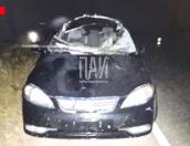 Автомобиль сбил лося в Невельском районе