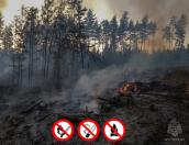 Особый противопожарный режим ввели в Псковской области