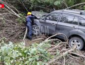 Автомобиль вылетел в кювет в Гдовском районе