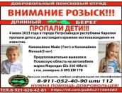 <strong>История с розыском увезённых в Псковскую область детей получила продолжение</strong>
