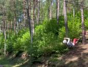 Команды турслёта учащихся Союзного государства приняли участие в соревновании «Забег» под Островом
