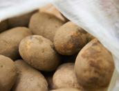 14 кг испорченных овощей сняли с продажи в Псковской области за полгода
