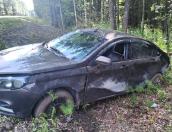 Водитель отвлёкся от управления автомобилем и учинил ДТП в Струго-Красненском районе