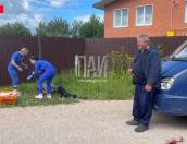 Двое приятелей избили друг друга в Псковском районе, один госпитализирован
