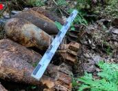Миномётные мины времён ВОВ обнаружены в Себежском районе