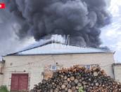 Стали известны причины крупного пожара в Плюссе
