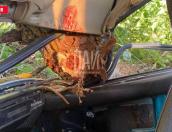 Пассажирка пострадала в результате ДТП в Новосокольническом районе
