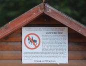 Администрация Пскова проведёт с полицией рейды по местам катания на лошадях