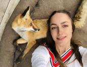 Жительница Острова выходила погибавшего в лесу лисёнка
