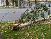 ФОТОФАКТ. Последствия непогоды в Пскове