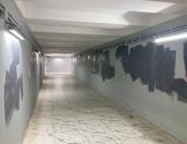 Дополнительные камеры установят в подземных переходах в Великих Луках