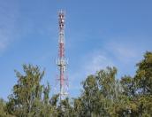 МегаФон запустил LTE в Полистовском заповеднике
