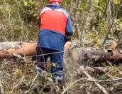 Почти шесть тысяч километров ЛЭП восстановили псковские энергетики после шторма