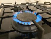 Псковская область получит 7,5 млн рублей федеральных субсидий на догазификацию в 2024 году