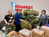 Очередную партию гумпомощи для участников СВО отправили из Центра добровольчества Псковского района