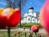 До +20 градусов ожидается в Псковской области 5 мая