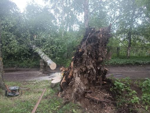 Четыре бригады энергетиков продолжают устранять последствия шторма в Пыталовском округе