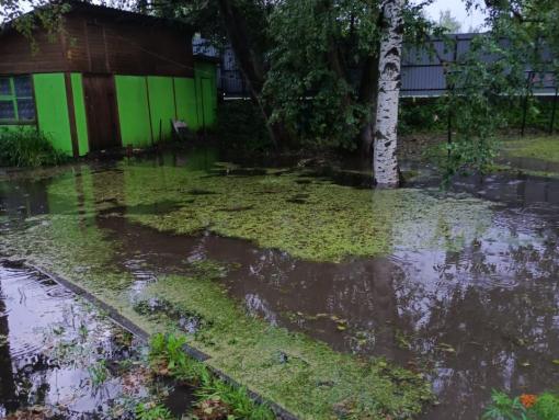 Пыталово борется с последствиями непогоды: подтоплены дома, уровень воды в реке Утрое критический