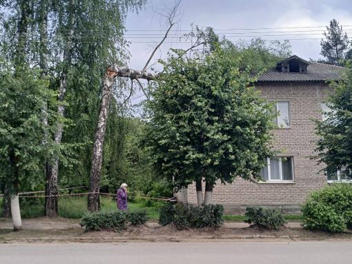 Дерево упало на крышу жилого дома в Пушкинских Горах из-за сильного ветра