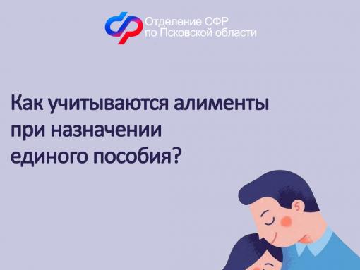 Как учитываются алименты при назначении единого пособия, рассказали в Соцфонде