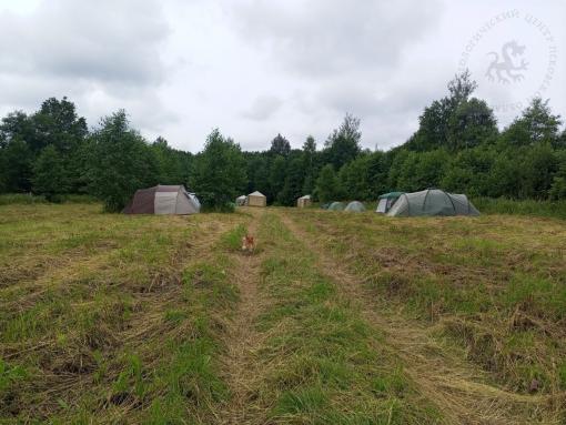 В Псковской области археологи в десятый раз исследуют поселение эпохи викингов
